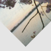 Cherry Blossom Sunset in Washington DC Seidenpapier (Ausschnitt)