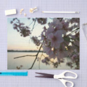 Cherry Blossom Sunset in Washington DC Seidenpapier (Handwerk)