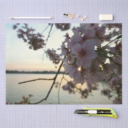 Cherry Blossom Sunset in Washington DC Seidenpapier (Handwerk)