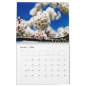 Cherry Blossom Time Kalender (Jan 2026)