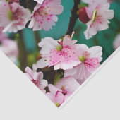Cherry Blossom Tissue Paper Seidenpapier (Ausschnitt)