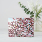 Cherry Blossom: Tokio, Japan Postkarte (Stehend Vorderseite)