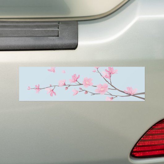 Cherry Blossom - Transparenter Hintergrund Autoaufkleber (Auf Auto)
