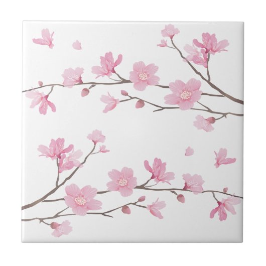 Cherry Blossom - Transparenter Hintergrund Fliese (Vorderseite)