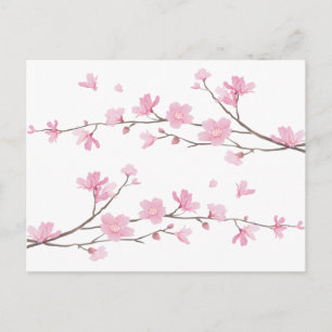 Cherry Blossom - Transparenter Hintergrund Postkarte