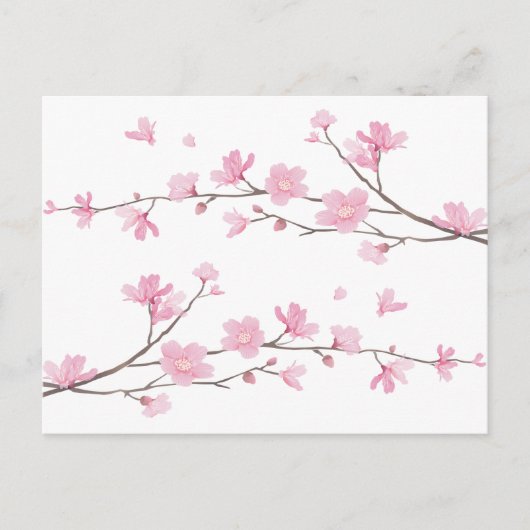 Cherry Blossom - Transparenter Hintergrund Postkarte (Vorderseite)