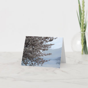 Cherry Blossom Tree Art Note Card Karte
