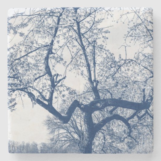 Cherry Blossom Tree, Delfts Blue Stone Untersetzer (Vorderseite)