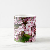 Cherry Blossom Tree im Park Kaffeetasse (Mittel)