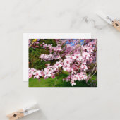 Cherry Blossom Tree im Park Karte (Vorderseite/Rückseite Beispiel)