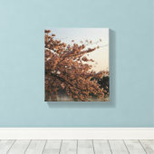 Cherry Blossom Tree Leinwand (Insitu (Holzboden))
