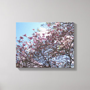 Cherry Blossom Tree Leinwanddruck