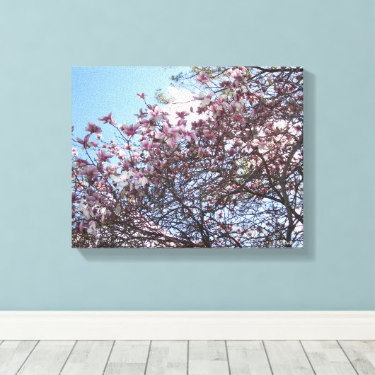 Cherry Blossom Tree Leinwanddruck (Insitu (Holzboden))