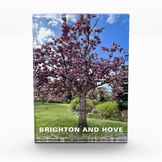 Cherry Blossom Tree Park Brighton Frühlingszeit Fotoblock (Vorderseite)