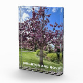Cherry Blossom Tree Park Brighton Frühlingszeit Fotoblock (Rechts)