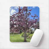 Cherry Blossom Tree Park Brighton Frühlingszeit Mousepad (Mit Mouse)