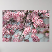 Cherry Blossom Tree Poster (Vorne)