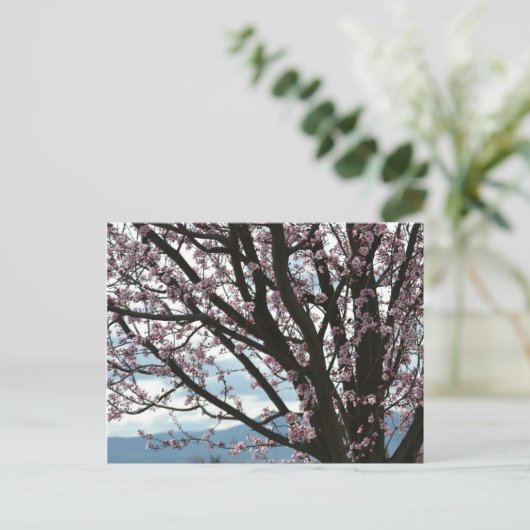 Cherry Blossom Tree Postkarte (Stehend Vorderseite)