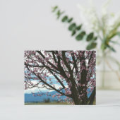 Cherry Blossom Tree Postkarte (Stehend Vorderseite)