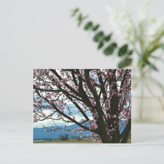 Cherry Blossom Tree Postkarte (Stehend Vorderseite)