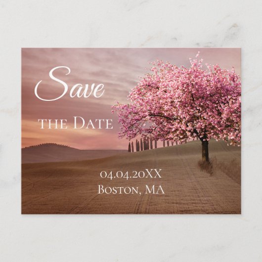 Cherry Blossom Tree Save the Date Postkarte (Vorderseite)