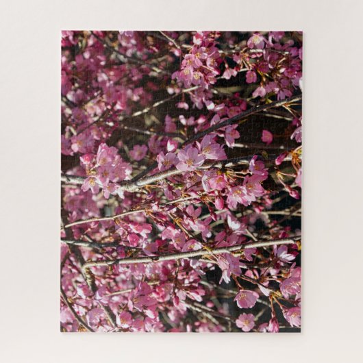Cherry blossom tree spring day in Italy Puzzle (Vertikal)