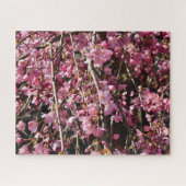 Cherry blossom tree spring day in Italy Puzzle (Horizontal)