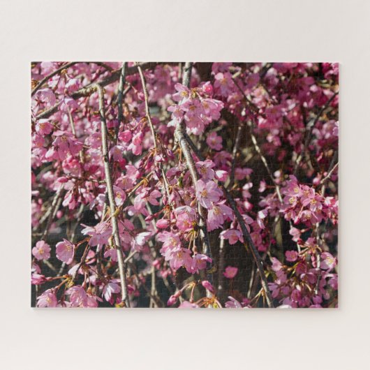 Cherry blossom tree spring day in Italy Puzzle (Horizontal)