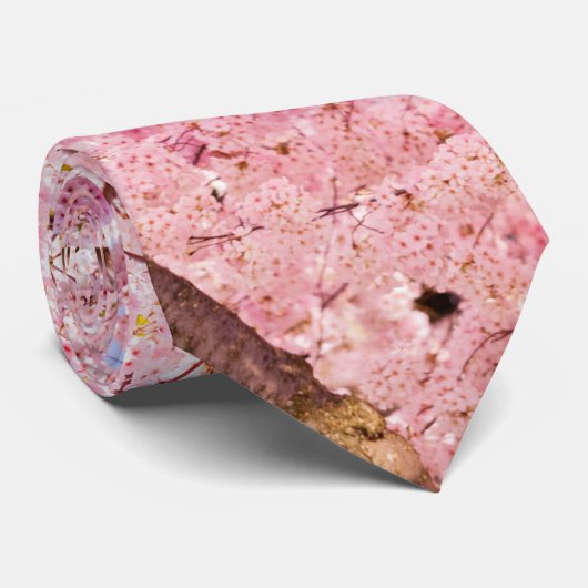 Cherry Blossom Trees Krawatte (Gerollt)