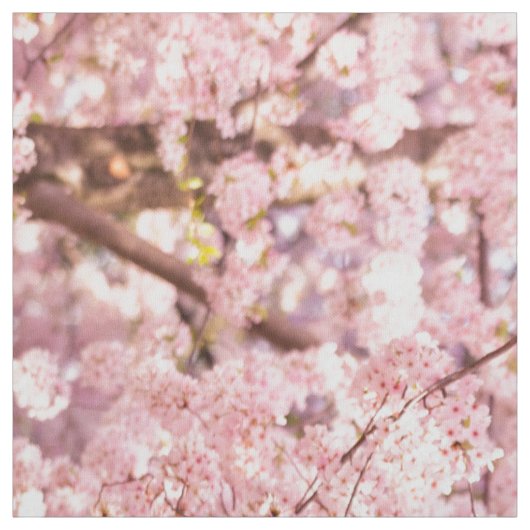 Cherry Blossom Trees Stoff (Muster)