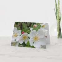 Cherry Blossom Überraschung gefaltet Danke Karte