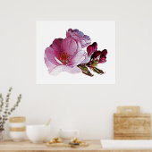Cherry Blossom und Bud Poster (Küche)
