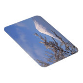 Cherry Blossom und Fuji 2 Magnet (Rechte Seite)