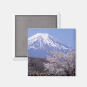 Cherry Blossom und Fuji Magnet (Vorderseite/Rückseite)