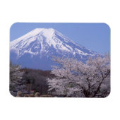 Cherry Blossom und Fuji Magnet (Horizontal)