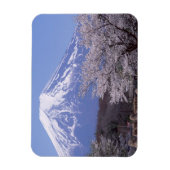 Cherry Blossom und Fuji Magnet (Vertikal)