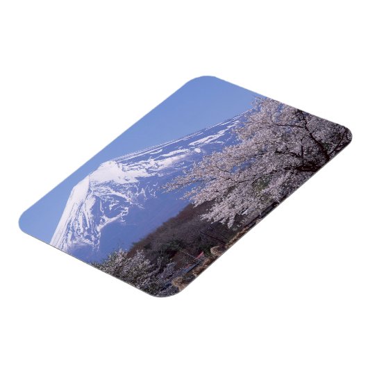 Cherry Blossom und Fuji Magnet (Linke Seite)