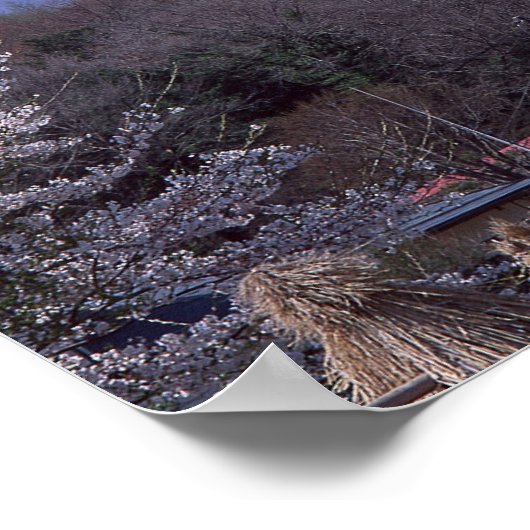 Cherry Blossom und Fuji Poster (Ecke)