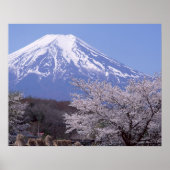 Cherry Blossom und Fuji Poster (Vorne)
