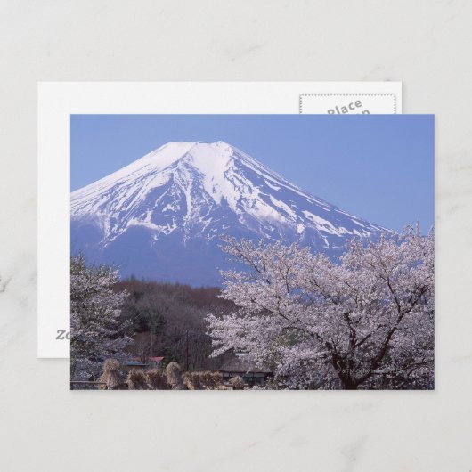 Cherry Blossom und Fuji Postkarte (Vorne/Hinten)