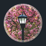 Cherry Blossom und Lamp Magnet Gefallen<br><div class="desc">Cherry Blossom und Lamp Magnet Gefallen für Hochzeitseinladungen,  Gastgeschenke Hochzeiten,  Sammler oder andere Veranstaltungen. © 2008 Fotografie und Design von TDSwhite bei ArtisticPostage.</div>