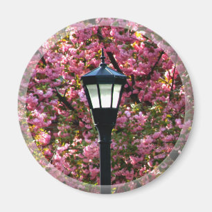 Cherry Blossom und Lamp Magnet Gefallen