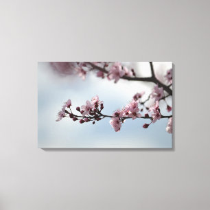 Cherry Blossom und Sky Leinwanddruck