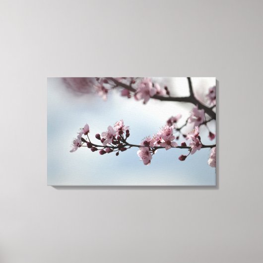 Cherry Blossom und Sky Leinwanddruck (Vorderseite)