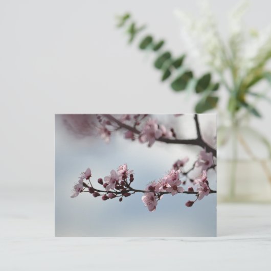Cherry Blossom und Sky Postkarte (Stehend Vorderseite)