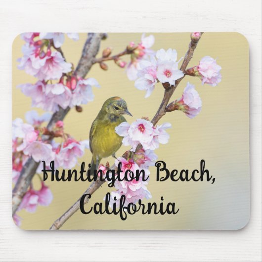Cherry Blossom und Warbler, Huntington Beach CA Mousepad (Vorne)