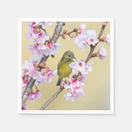 Cherry Blossom und Warbler Serviette (Vorderseite)