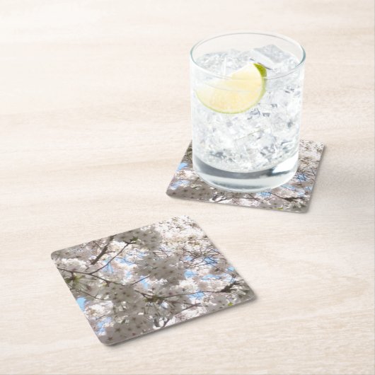 Cherry Blossom Untersetzer (Vor Ort)