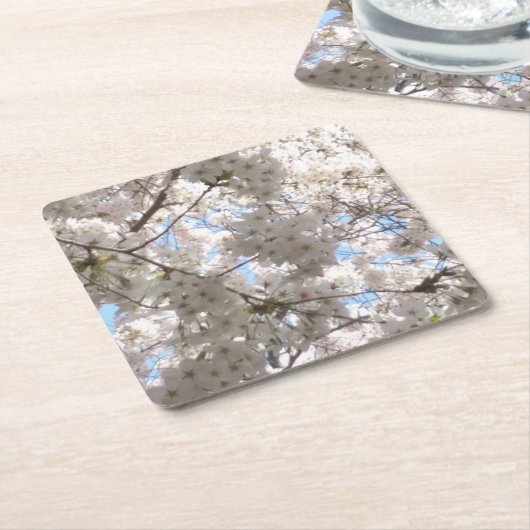 Cherry Blossom Untersetzer (angewinkelt)