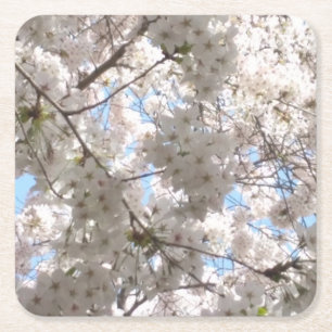 Cherry Blossom Untersetzer